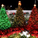 The Magic and Meaning of the Christmas Star